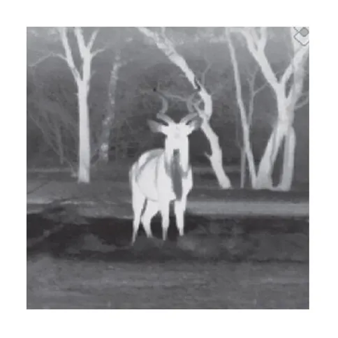 Caméra Thermique Flir Scout III 640 – Image 2