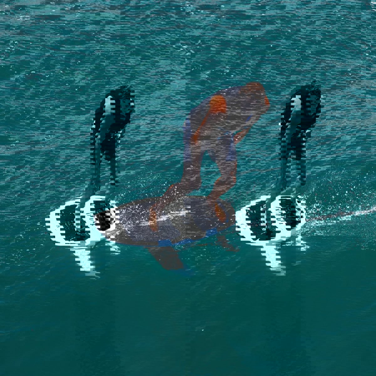 Ronix Koal Surface 727 wakefoil set 4’1 fluid mast 28 intermediate/advanced – Image 14